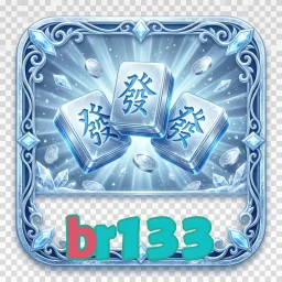br133