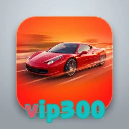 vip300